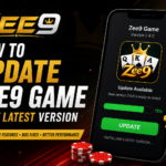 zee9 game update game version screenshot